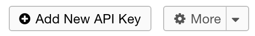 Add New API Key Button